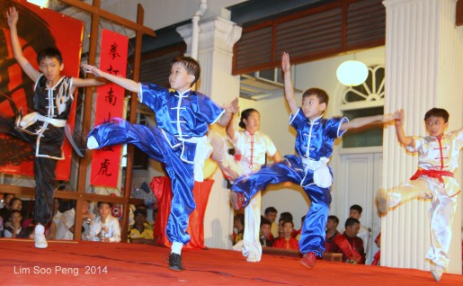 CNY Cultural Heritage Celebrations 367-001